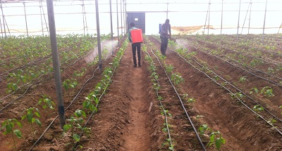 Other Molecular Sized Products