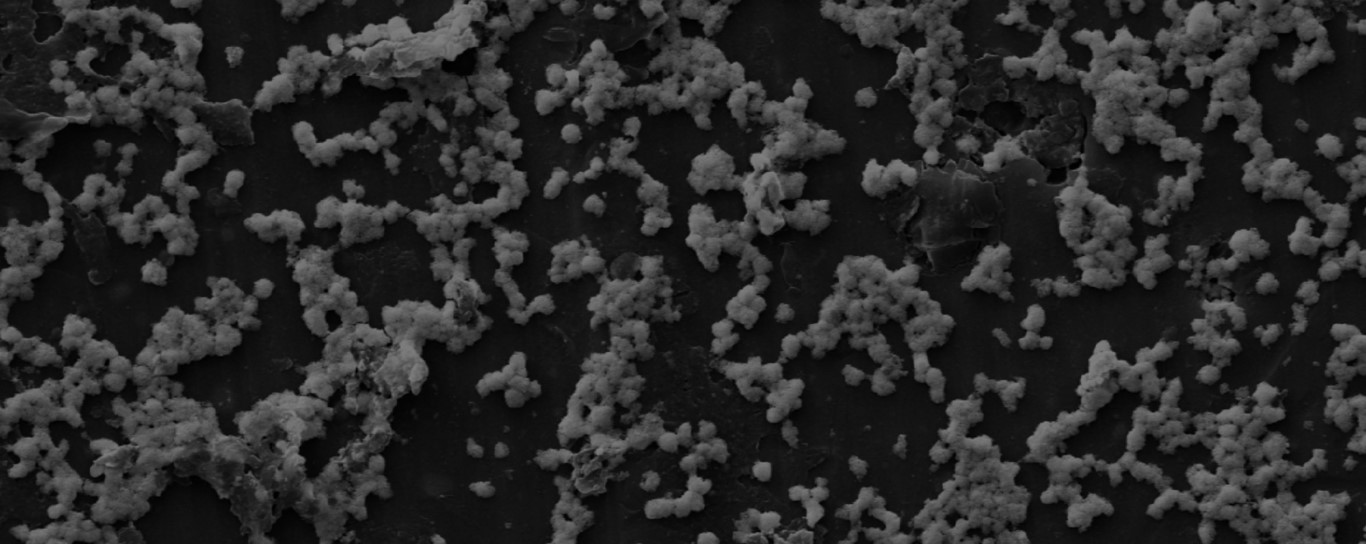 Molecular Sized Nutrients