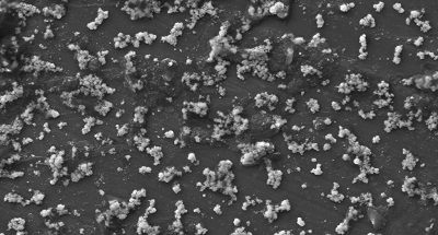 Molecular Sized Nutrients