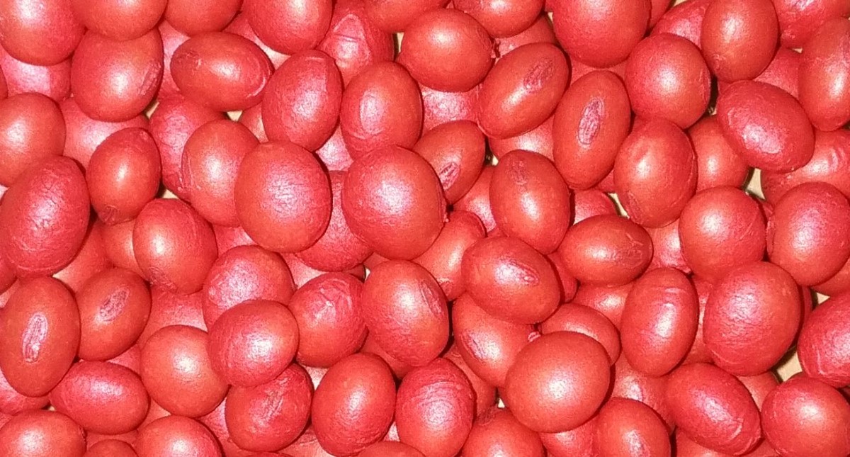 Seed Coating Polymer Products